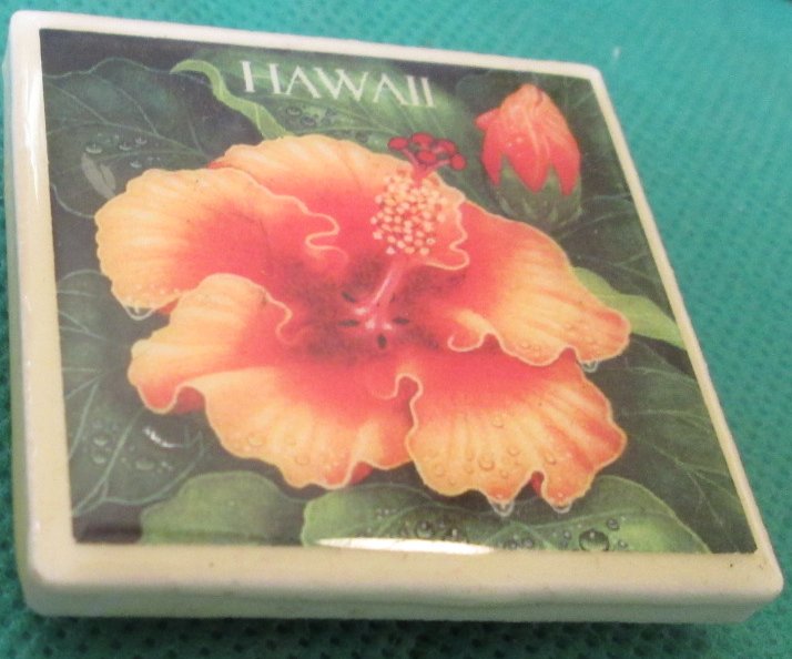 Souvenir HAWAII Flower square refrigerator frig MAGNET 2"