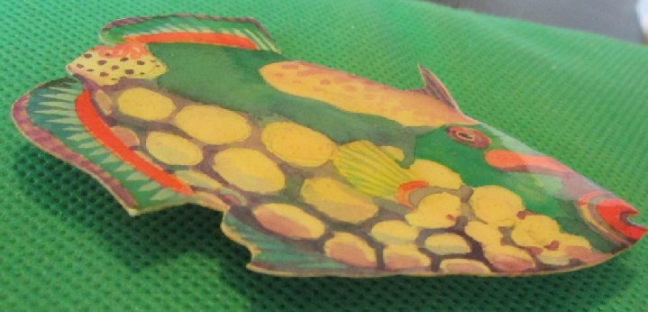 Colorful FISH refrigerator frig MAGNET 3.25"
